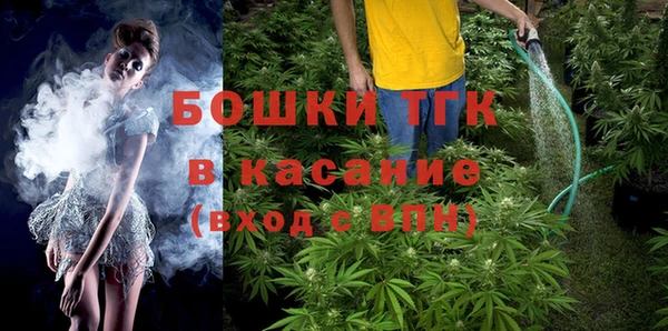 молекула духа Вязьма